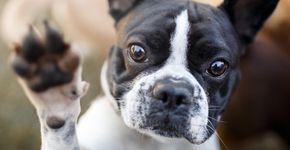 Foto: (Istock)