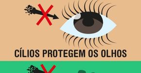 Grupo planta mudas para preservar mananciais em São Paulo
