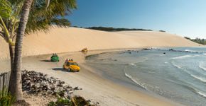 Foto: (pabst_ell/iStock)