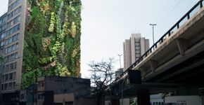 Depois do primeiro, Minhocão ganhará mais 40 jardins verticais