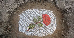 Artista usa flores para tapar e denunciar buracos de Chicago