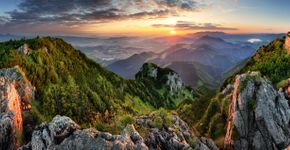 Foto: (:TomasSereda?iStock)