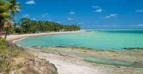 Foto: (Thiago Santos/iStock)