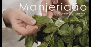 Como conservar o manjericão