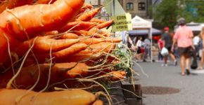 Union Square Greenmarket, a maior feira ao ar livre de Nova York