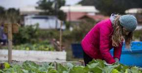 Horta comunitária em Florianópolis promove saúde e socialização