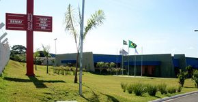 Foto: (Divulgação)