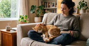 7 benefícios de ter gatos em casa, comprovados cientificamente