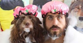 Cachorro fofo e seu humano posam iguais para fotos incríveis
