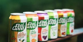 Aprenda a fazer o “Drink Feel Amazing” usando Chá Verde com Laranja e Gengibre