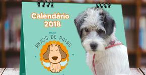 Projeto que resgata animais das ruas lança calendário exclusivo
