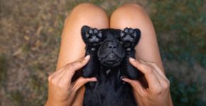 Foto: (manushot/istock)