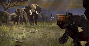Conheça 6 documentários que vão mudar sua visão sobre os animais