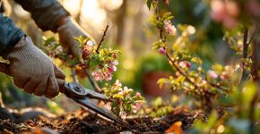 5 tarefas essenciais de jardinagem em outubro para manter seu jardim saudável, segundo especialistas