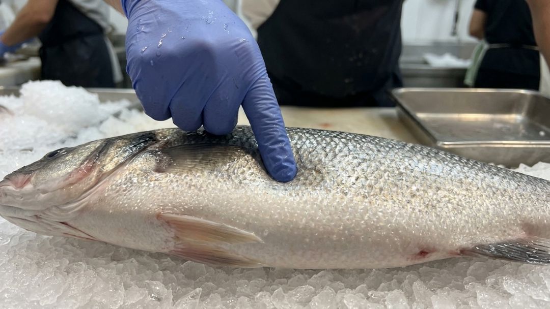 O aroma suave e marinho é um dos indicadores mais confiáveis de sanidade durante a seleção do pescado.
