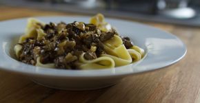 Talharim ao Molho Funghi