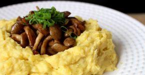 Segunda sem carne: prepare purê de mandioquinha com cogumelos