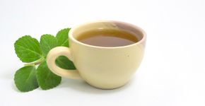 Foto: (vbacarin/istock)