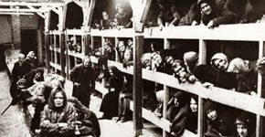 Sobreviventes do Holocausto dão palestras no Shopping Pátio Higienópolis
