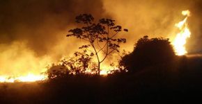 Relato desesperado de uma jornalista que mora na Chapada Diamantina