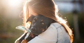 Foto: (Capuski/iStock)