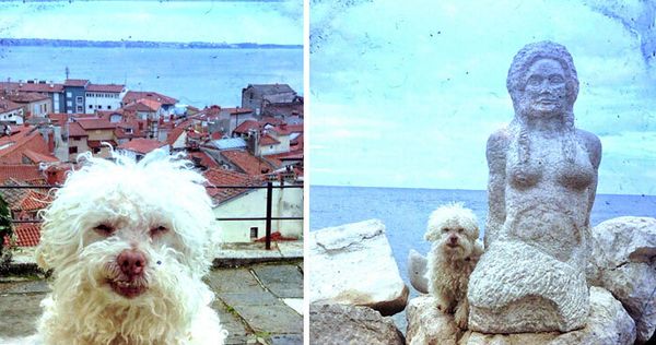 Piran (Eslovênia)