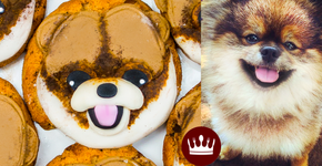 Aprenda a fazer cookies Lulu da Pomerânia