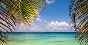 Foto: (Isabellaphoto/iStock)