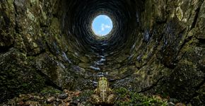 O que significa a frase japonesa: “O sapo no fundo do poço não conhece o grande oceano”?