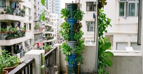 5 maneiras de criar uma torre hidropônica com baldes usados: uma solução eficiente para jardinagem em espaços reduzidos