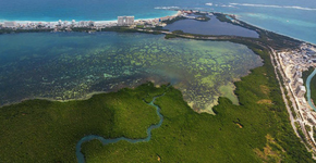 Dia da Terra: mais de 400 abaixo-assinados pelo meio ambiente na América Latina