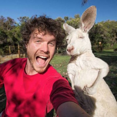 Fotógrafo tira selfies com animais