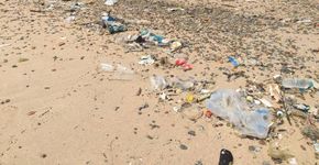 Aplicativo reúne denúncias sobre o lixo descartado nas praias