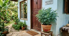 Onde colocar arruda dentro de casa para proteção: o que diz a tradição popular