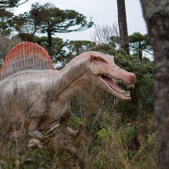 Featured mobile: Parque de dinossauros em Campos do Jordão abre em novembro; confira