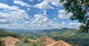 Foto: (Sonny Vermeer/iStock)
