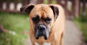 Foto: (Renata Angerami/istock)