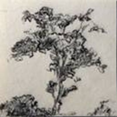 Helenita Peruzzo