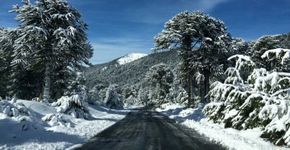 Reserva no sul Chile tem atrações para toda família no inverno