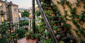 Os vasos pequenos ficam espalhados pela varanda, uma escada antiga pode transformá-los em jardim vertical