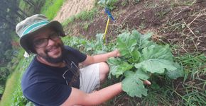 Feira Agroecológica da Consumo Consciente ABC acontece neste sábado