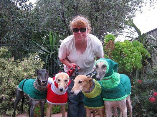 A britânica resolveu largar o emprego para tricotar roupas a cães abandonados (Reprodução/Jan Brown)