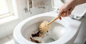 Jogar borra de café no vaso sanitário: para que serve e qual é a maneira certa de usar