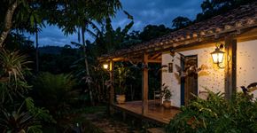 Se você nota morcegos sobrevoando sua casa ou quintal ao crepúsculo, veja o significado e por que preservá-los