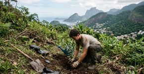 Uma floresta devastada por antigas plantações de café começou a ser recuperada em 1861 e hoje protege cerca de 3,9 mil hectares no coração do Rio de Janeiro: o parque nacional que abriga o Cristo Redentor, a Pedra da Gávea e trilhas entre árvores replantadas.
