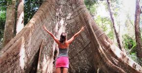 6 razões pelas quais você deve viajar fazendo trabalho voluntário
