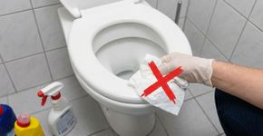 Grande parte das pessoas não compreende a razão pela qual não é recomendável higienizar o assento da privada utilizando papel higiênico