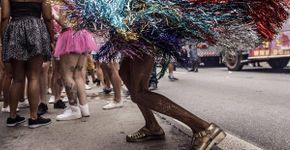 Guia da avenida Paulista para esta quarta-feira, 24