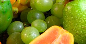 Clínica de Nutrição – UnicSul