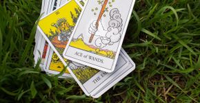 Tarot do dia: previsão para os 12 signos em 14/05/2026